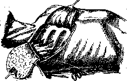 Pleurisy: figure 12 from the 1928–1936 encyclopedia article