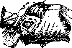 Pleurisy: figure 13 from the 1928–1936 encyclopedia article