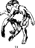 Fetus: figure 16 from the 1928–1936 encyclopedia article