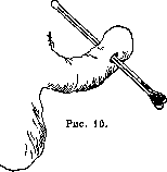 Penis: figure 8 from the 1928–1936 encyclopedia article