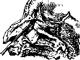 Paranasal Sinuses (air-containing sinuses, adjacent to the proper): figure 4 from the 1928–1936 encyclopedia article