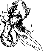 Umbilical Cord: figure 9 from the 1928–1936 encyclopedia article