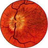 Optical Activity: figure 3 from the 1928–1936 encyclopedia article