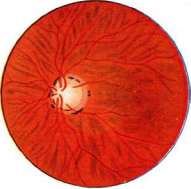 Optical Activity: figure 4 from the 1928–1936 encyclopedia article