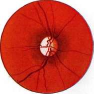 Optical Activity: figure 6 from the 1928–1936 encyclopedia article