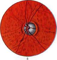 Optical Activity: figure 7 from the 1928–1936 encyclopedia article