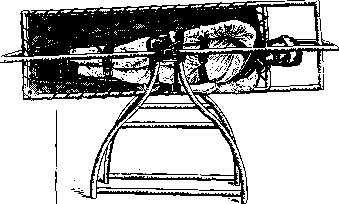 Otolithic Apparatus: figure 14 from the 1928–1936 encyclopedia article