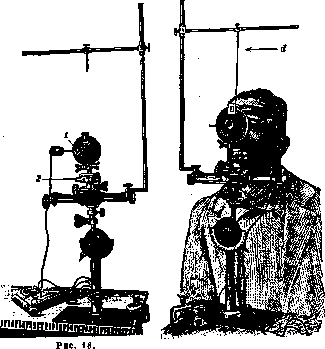 Otolithic Apparatus: figure 18 from the 1928–1936 encyclopedia article