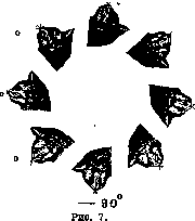 Otolithic Apparatus: figure 8 from the 1928–1936 encyclopedia article