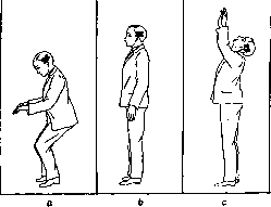 Otolithic Apparatus: figure 10 from the 1928–1936 encyclopedia article