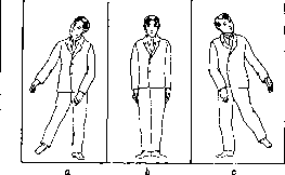 Otolithic Apparatus: figure 11 from the 1928–1936 encyclopedia article