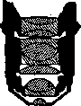Apophysis: figure 1 from the 1928–1936 encyclopedia article