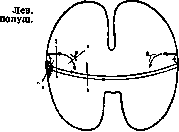 Apraxia: figure 1 from the 1928–1936 encyclopedia article