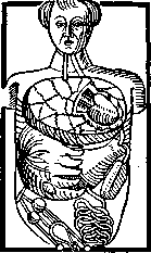 Anatomical Theaters: figure 9 from the 1928–1936 encyclopedia article