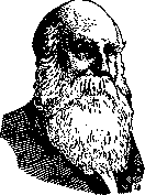 Bardengeyer: figure 1 from the 1928–1936 encyclopedia article