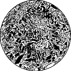 Protein Crystals: figure 1 from the 1928–1936 encyclopedia article