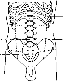 Abdominal Cavity: figure 6 from the 1928–1936 encyclopedia article