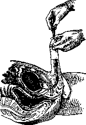 Bougienage: figure 2 from the 1928–1936 encyclopedia article