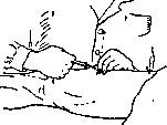Injections: figure 1 from the 1928–1936 encyclopedia article