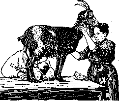 Feeding of Young Children: figure 2 from the 1928–1936 encyclopedia article