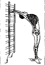 Gymnastics: figure 1 from the 1928–1936 encyclopedia article