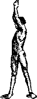 Gymnastics: figure 10 from the 1928–1936 encyclopedia article