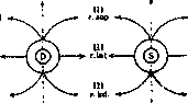 Eye: figure 4 from the 1928–1936 encyclopedia article