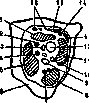 Orbit: figure 5 from the 1928–1936 encyclopedia article