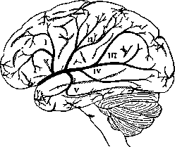 Brain (551 General diagnostics of brain diseases): figure 25 from the 1928–1936 encyclopedia article
