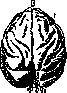 Brain (551 General diagnostics of brain diseases): figure 8 from the 1928–1936 encyclopedia article