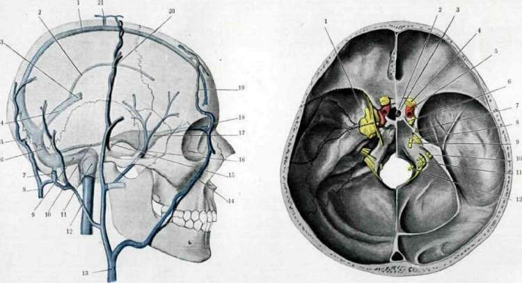 Brain (551 General diagnostics of brain diseases): figure 29 from the 1928–1936 encyclopedia article