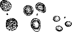 Smut: figure 1 from the 1928–1936 encyclopedia article
