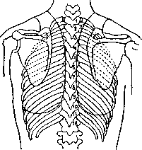 Graphical Representations (GRAPHICAL REPRESENTATIONS): figure 4 from the 1928–1936 encyclopedia article