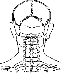 Graphical Representations (GRAPHICAL REPRESENTATIONS): figure 3 from the 1928–1936 encyclopedia article