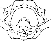 Graphical Representations (GRAPHICAL REPRESENTATIONS): figure 6 from the 1928–1936 encyclopedia article