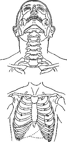 Graphical Representations (GRAPHICAL REPRESENTATIONS): figure 2 from the 1928–1936 encyclopedia article
