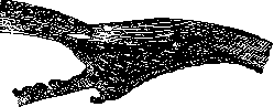 Hypermetropia: figure 2 from the 1928–1936 encyclopedia article