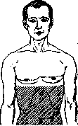 Protective Reflexes: figure 1 from the 1928–1936 encyclopedia article