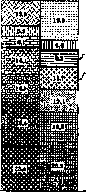 Infectious Diseases: figure 11 from the 1928–1936 encyclopedia article