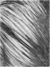Capsules: figure 1 from the 1928–1936 encyclopedia article
