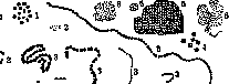 Cocci: figure 1 from the 1928–1936 encyclopedia article
