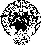Corticopontine Tracts: figure 1 from the 1928–1936 encyclopedia article