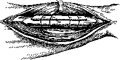 Bone Suture: figure 6 from the 1928–1936 encyclopedia article
