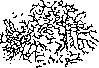 Bone: figure 5 from the 1928–1936 encyclopedia article