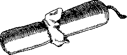 Laminaria: figure 1 from the 1928–1936 encyclopedia article