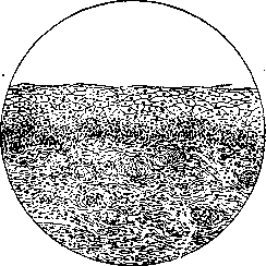 Uterus: figure 8 from the 1928–1936 encyclopedia article