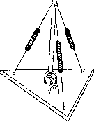 Muscular System: figure 9 from the 1928–1936 encyclopedia article