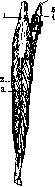 Muscular System: figure 4 from the 1928–1936 encyclopedia article