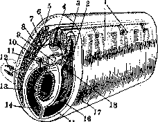 Muscular System: figure 1 from the 1928–1936 encyclopedia article