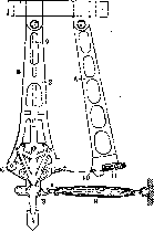Muscles: figure 5 from the 1928–1936 encyclopedia article